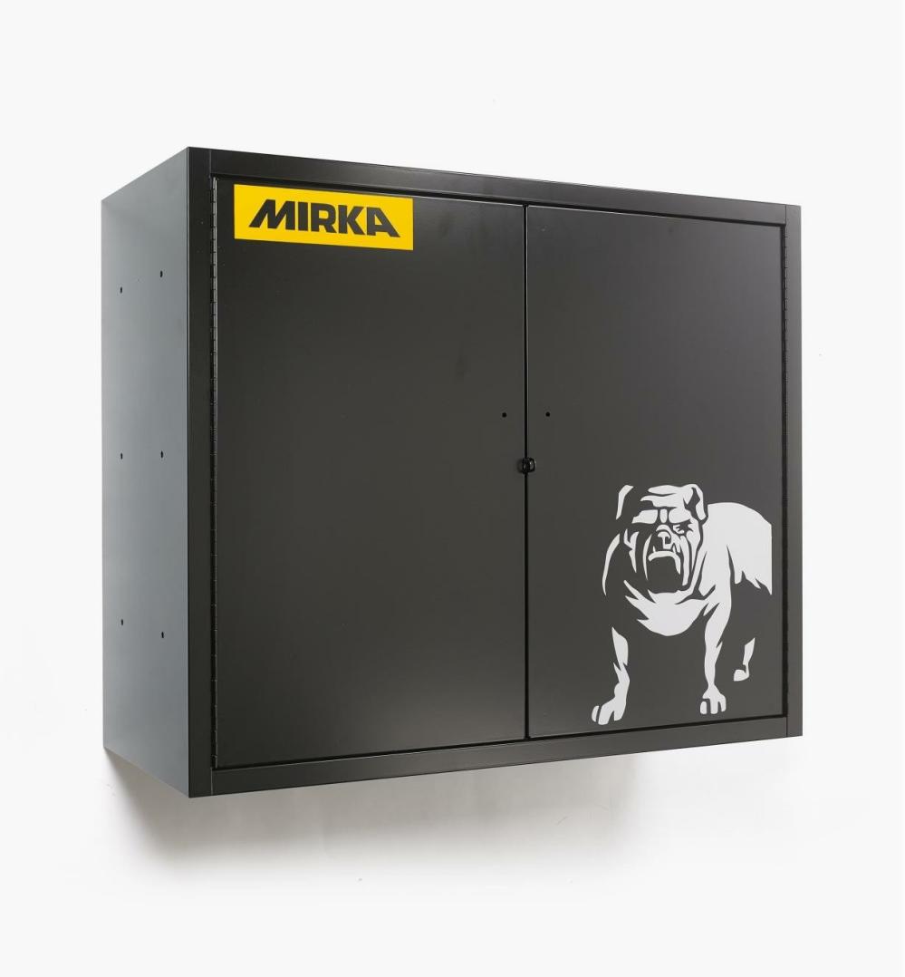 Mirka Wall-Mounted Storage Cabinet Storage & Organization